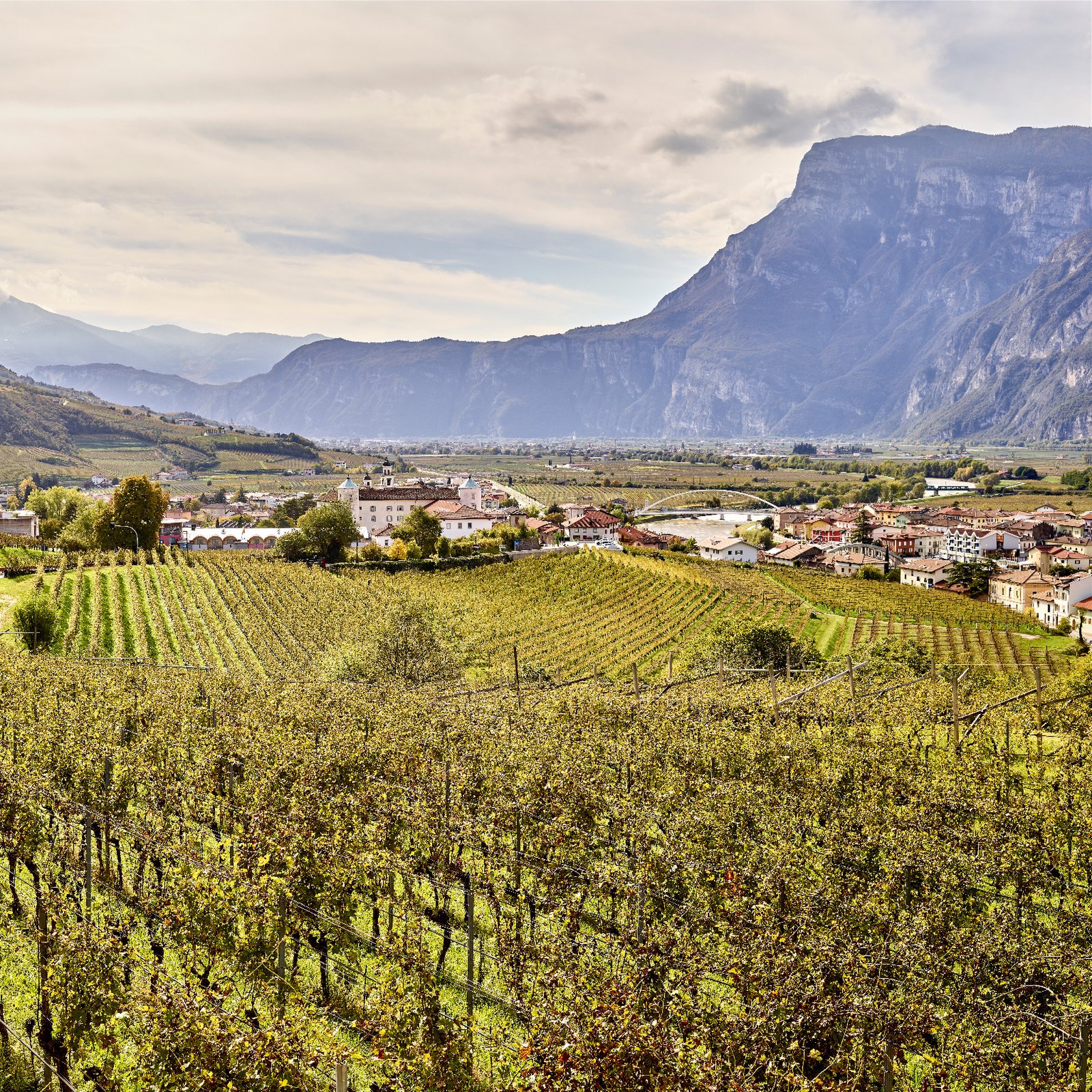 Terrazza panorama Sardagna