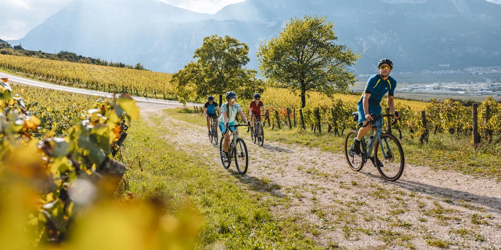 gravel bike riding near Trento vineyards